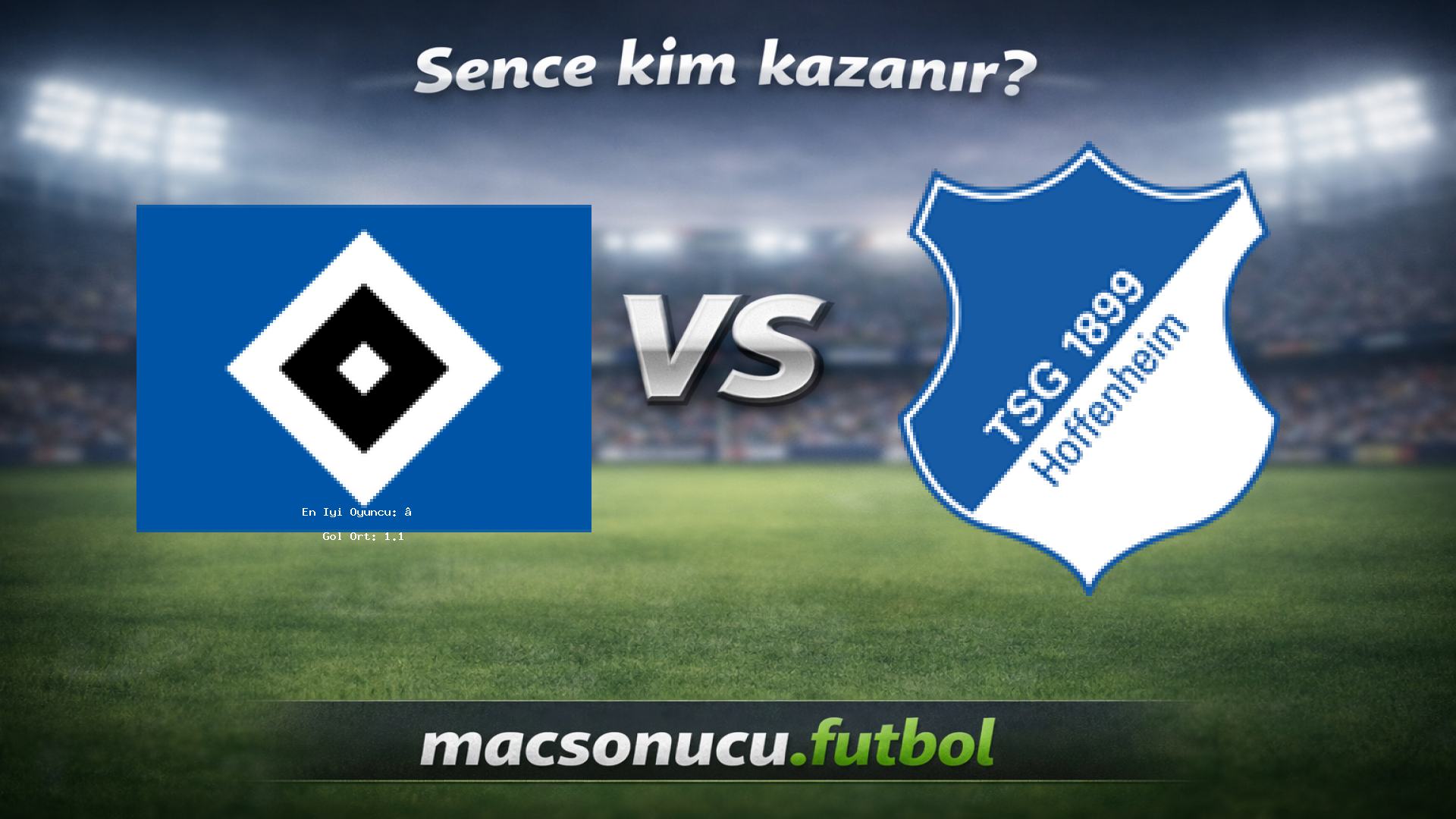 Hamburger SV - 1899 Hoffenheim maç görseli